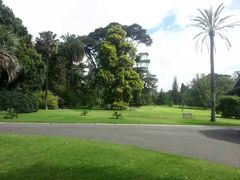 -墨尔本皇家植物园