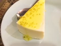 -古树酸奶(八廓南街店)