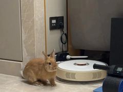 -雨林宠物医院 非犬猫异宠专科