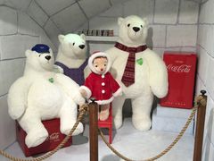 -济州岛泰迪熊博物馆