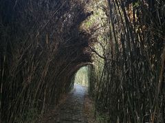 -沙家浜风景区