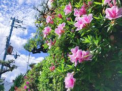 -京都冈本和服体验租赁店(祗园店)