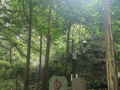 -雁荡山风景名胜区