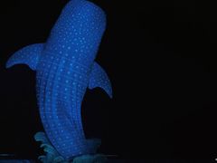 -珠海长隆海洋王国
