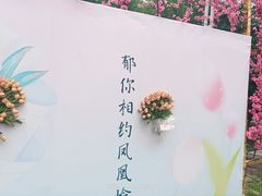 -北京凤凰岭