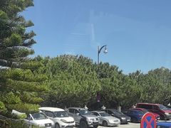 -米哈斯