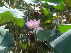 -人民公园(罗湖区)