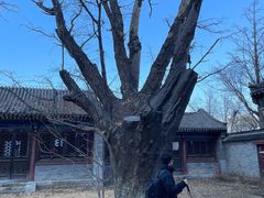 -阳台山自然风景区