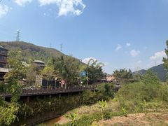 -正宗杨记普洱酸醋米线(总店)