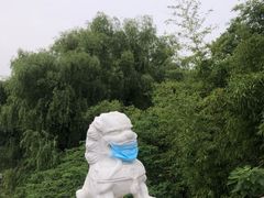 -东华大学(松江校区)