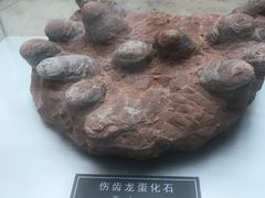 -中国地质大学逸夫博物馆