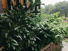 -红樽舫湖州菜.湖景餐厅(太湖渔人码头店)
