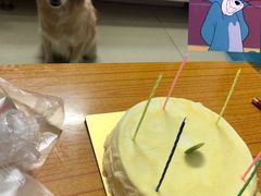 -OL’s Cake鲜荟千层(东风中路店)