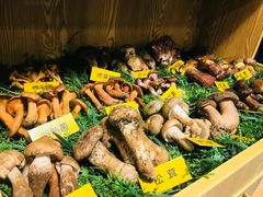 -菌海森林·非遗野生菌火锅(西山区滇池路摩根道店)
