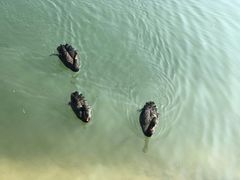 -石燕湖生态旅游景区