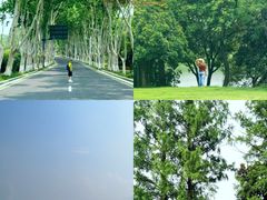 -钟山体育运动公园