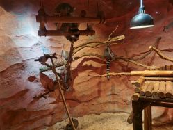 -Zoolung Zoolung动物主题公园(海信广场店)