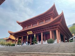 -深圳仙湖植物园