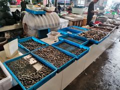 -秦皇岛海阳农副产品批发市场