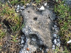 -龙坑生态保护区