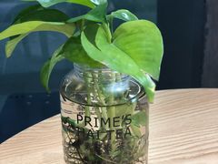 -素匠泰茶(三里屯SOHO工体奶茶店)