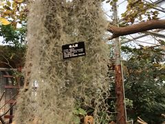 -南通洲际绿博园