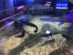 -无锡海洋馆