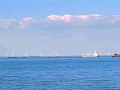-上海滨江森林公园