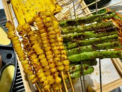 -山野的朋友露营炭火烤肉