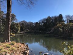 -井之头恩赐公园