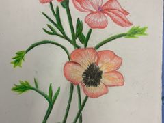 -东方童画少儿美术(莘庄体验馆)