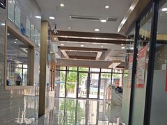 -瑞派名望志远动物医院·猫科·內科·异宠专科(直港大道店)