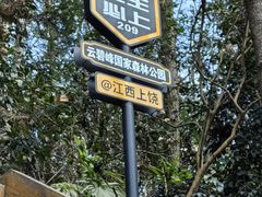 -云碧峰国家森林公园