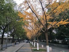 -五星桥原切肥牛火锅(怀德桥店)