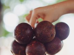 山竹-阿龙榴莲摊