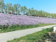 -洨河生态公园