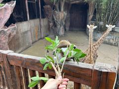 -长鹿旅游休博园