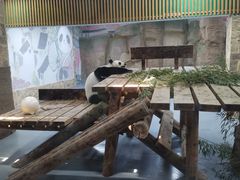 -无锡动物园·太湖欢乐园