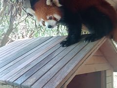-常州淹城野生动物世界