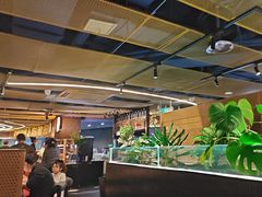 -星伦多自助料理·涮烤一体(虹悦城店)