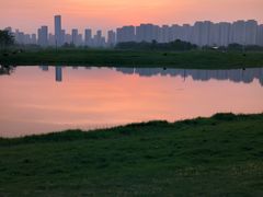 -洋湖国家湿地公园