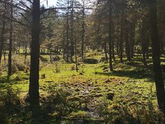 -硗碛藏寨·神木垒景区