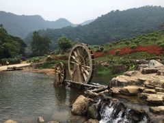 -广州市石门国家森林公园
