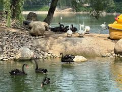 -石家庄市动物园