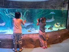 -沈阳海洋探索中心