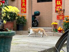 -水乡人家私房菜(逢简店)