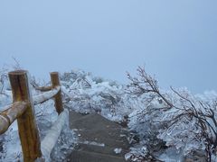 -金子山原生态旅游风景区
