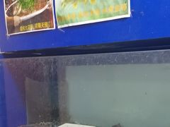 -鱼香饭店