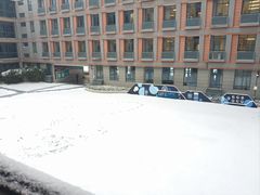 -金陵中学(河西分校)