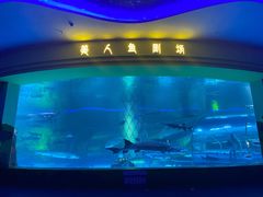 -西双版纳原始森林公园